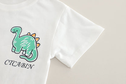 Dinosaur Tshirt Denim Set