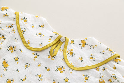 Peter Pan Collared Shorts Set