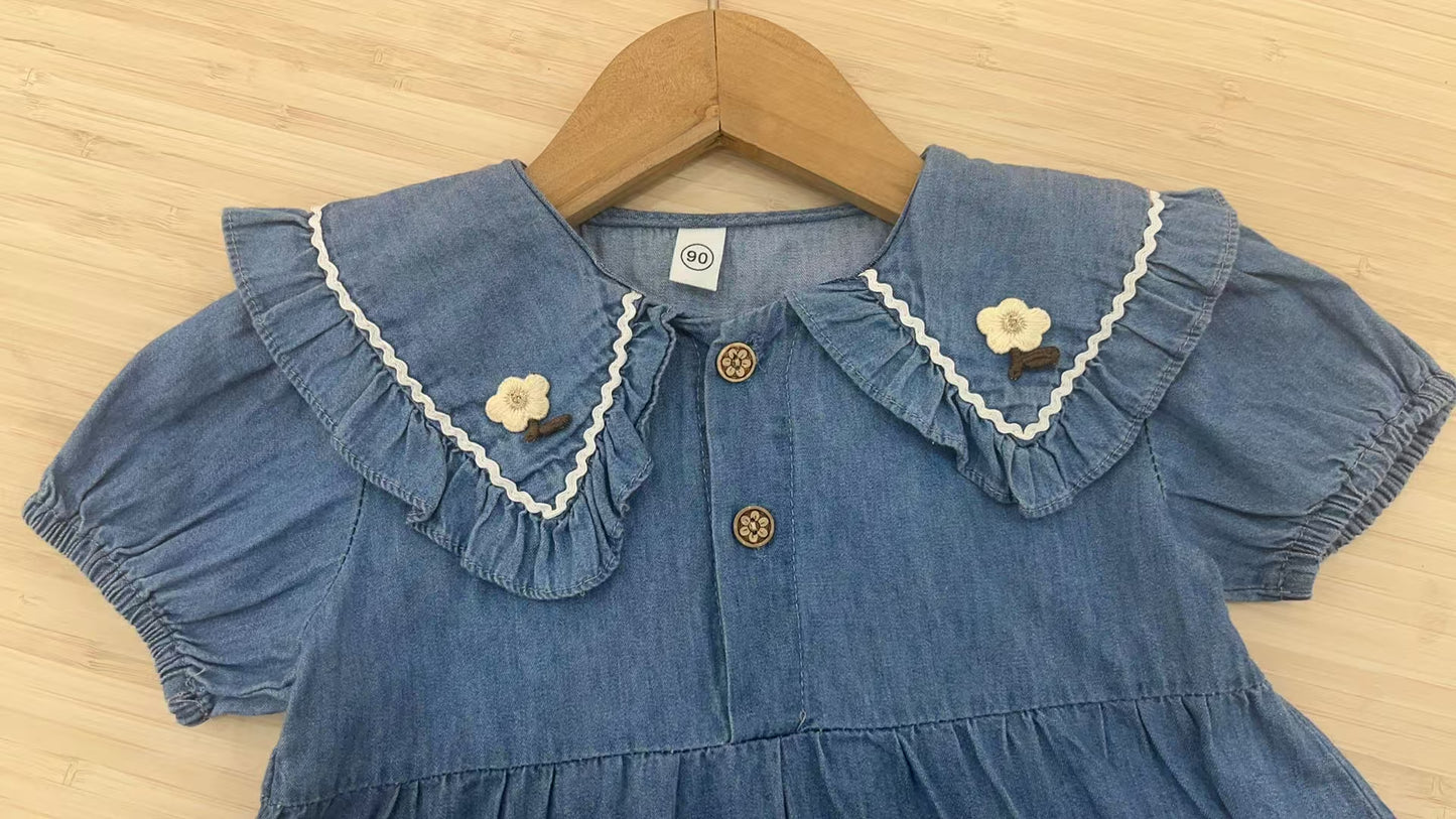 V Collared Denim Dress